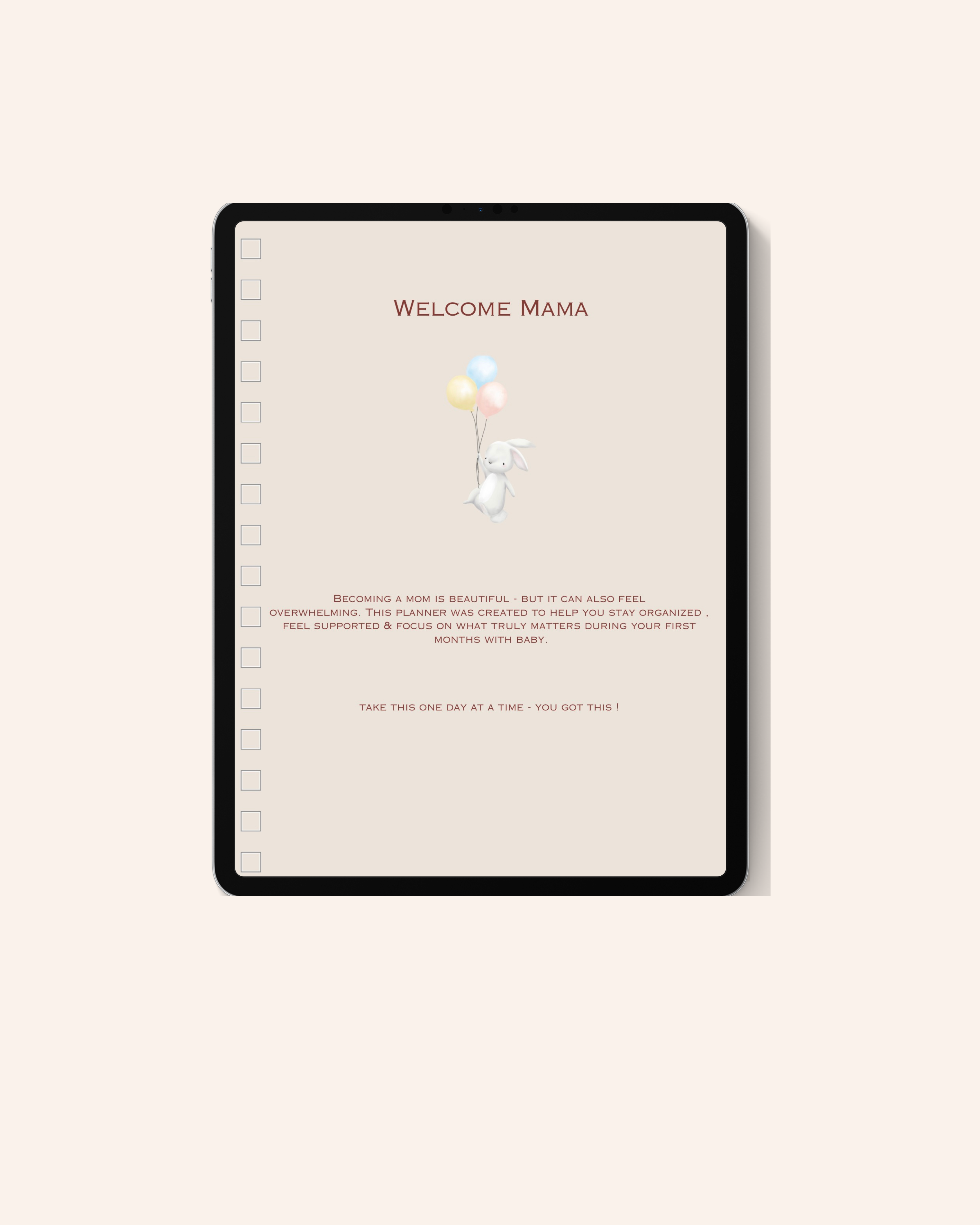 First-Time Mom Survival Planner